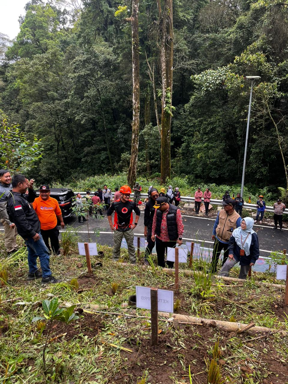 MITIGASI: Lereng bekas longsor di jalur Pacet-Cangar yang dilakukan penanaman tanaman untuk pencegahan bencana alam susulan, Kamis (22/1).