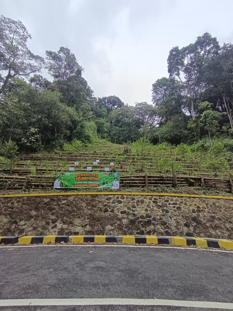 MASIH RAWAN: Lereng di jalur Pacet-Cangar yang tahun lalu dilanda tanah longsor bakal diperkuat dengan penanaman pohon oleh Tahura R. Soerjo.