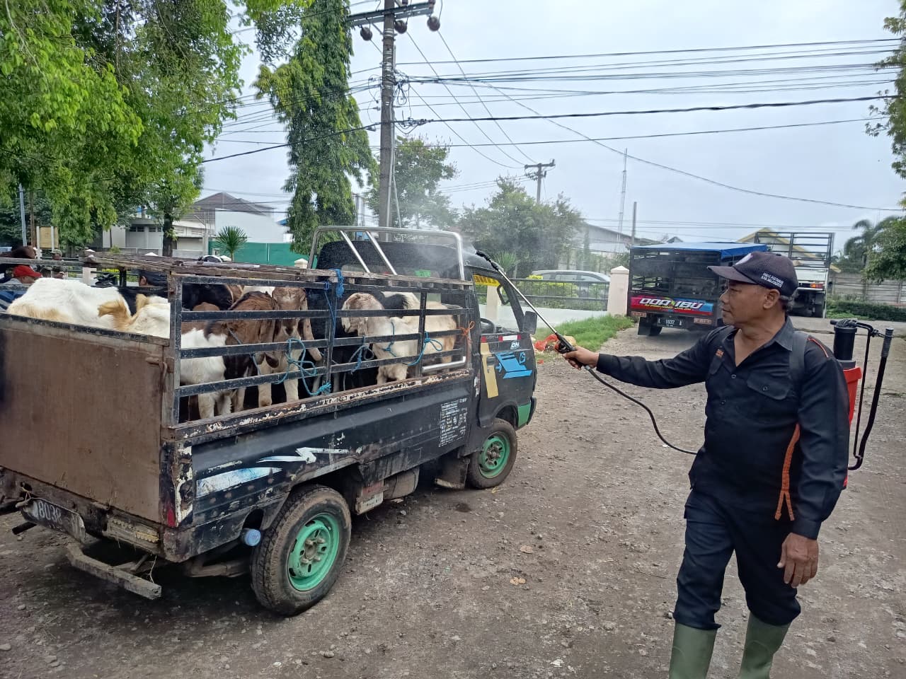 ANTISIPASI PENYEBARAN: Petugas Disperta Kabupaten Mojokerto melakukan penyemprotan disinfektan di Pasar Hewan Ngrame, Kecamatan Pungging, kemarin (27/1).