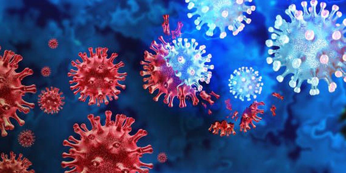 Gejala, penularan, dan upaya pencegahan dini dari virus Nipah