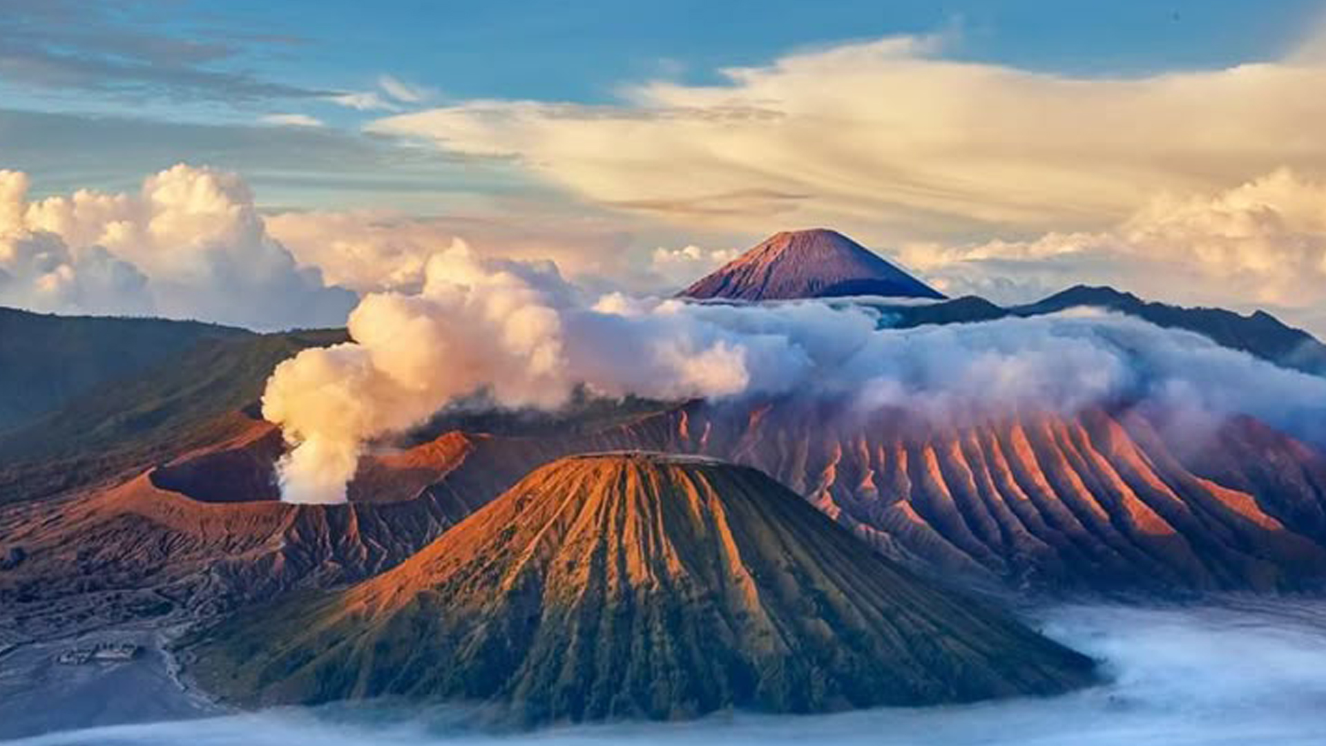 Terdapat berbagai Flora Fauna di Gunung Semeru
