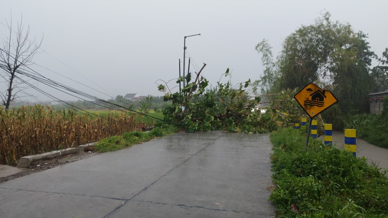 TERDAMPAK: Pohon tumbang yang melintang di Jalan Dusun Brongkol, Desa Banjaragung, Kecamatan Puri, Kabupaten Mojokerto, kemarin (4/2).