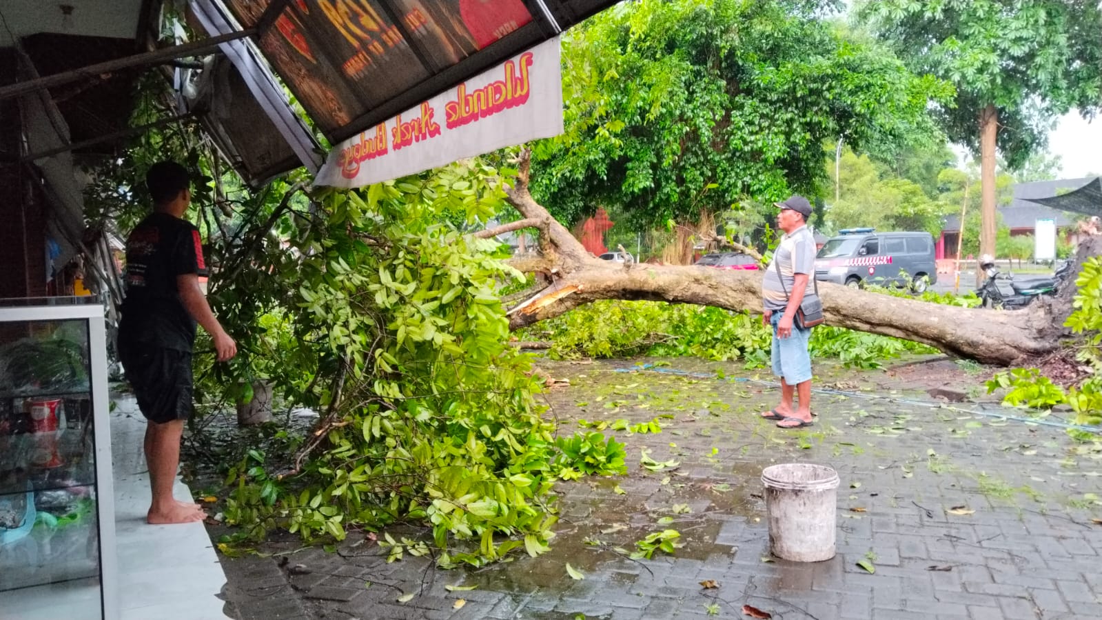 AMBRUK: Sebuah pohon di kompleks Pendapa Agung Trowulan, Desa/Kecamatan Trowulan yang tumbang disapu angin kencang, kemarin (4/2).