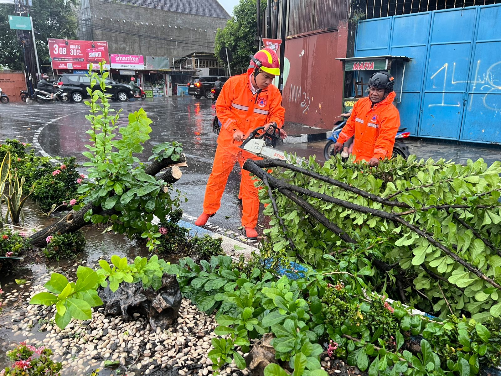 PENANGANAN: Petugas BPBD Kota Mojokerto mengevakuasi pohon tumbang akibat angin kencang, Rabu (5/2) petang.