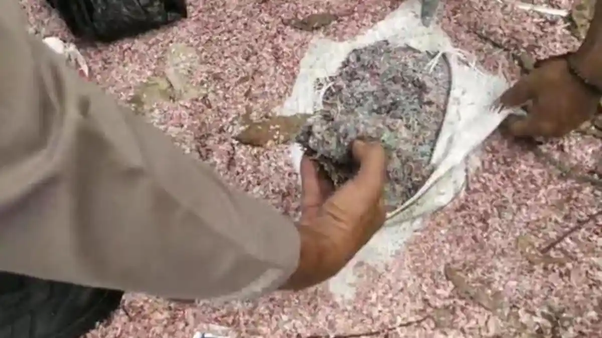 Penemuan cacahan uang Rp50.000 dan Rp100.000 di TPS liar