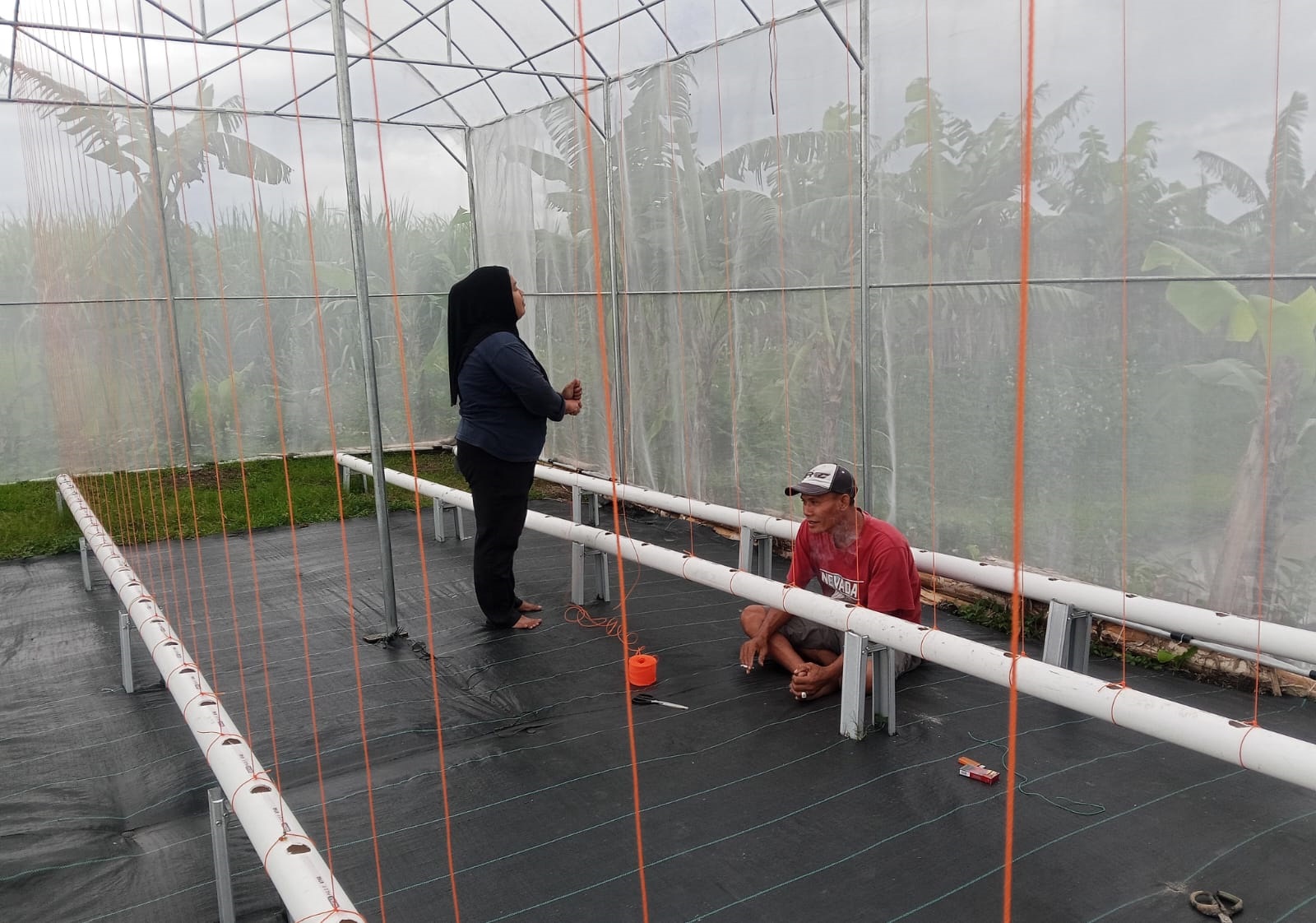PROSES: Tahap pembangunan sarana dan prasarana green house penanaman buah melon secara hidroponik di Dusun Gebang, Desa Pungging.