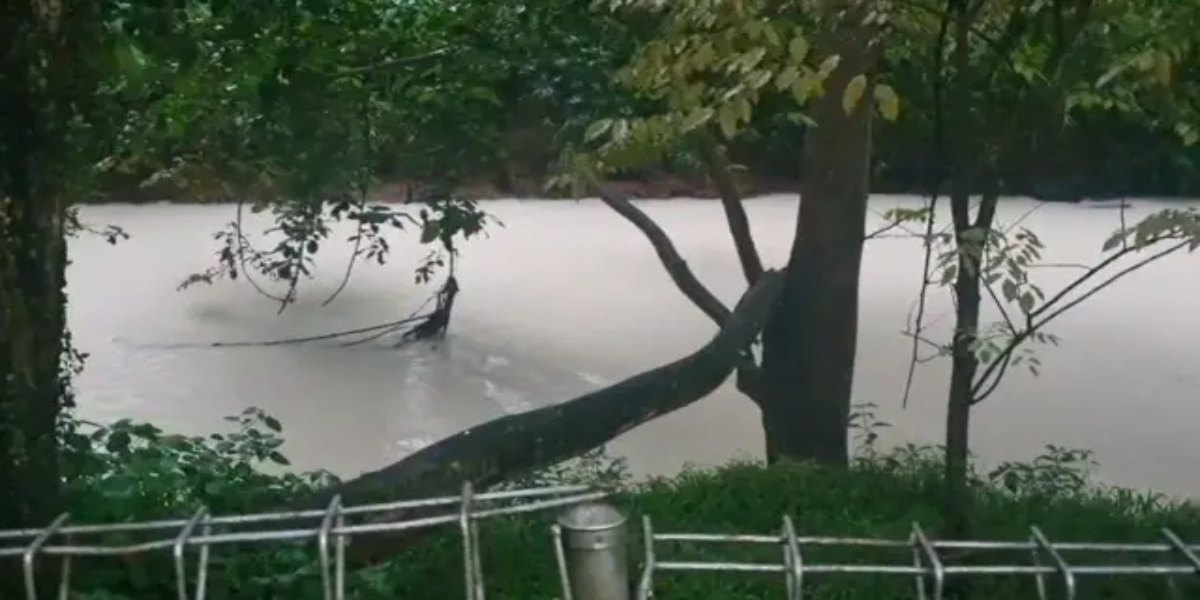 Penampakan Sungai Cisadane setelah diduga tercemar bahan kimia akibat kebakaran gudang pestisida