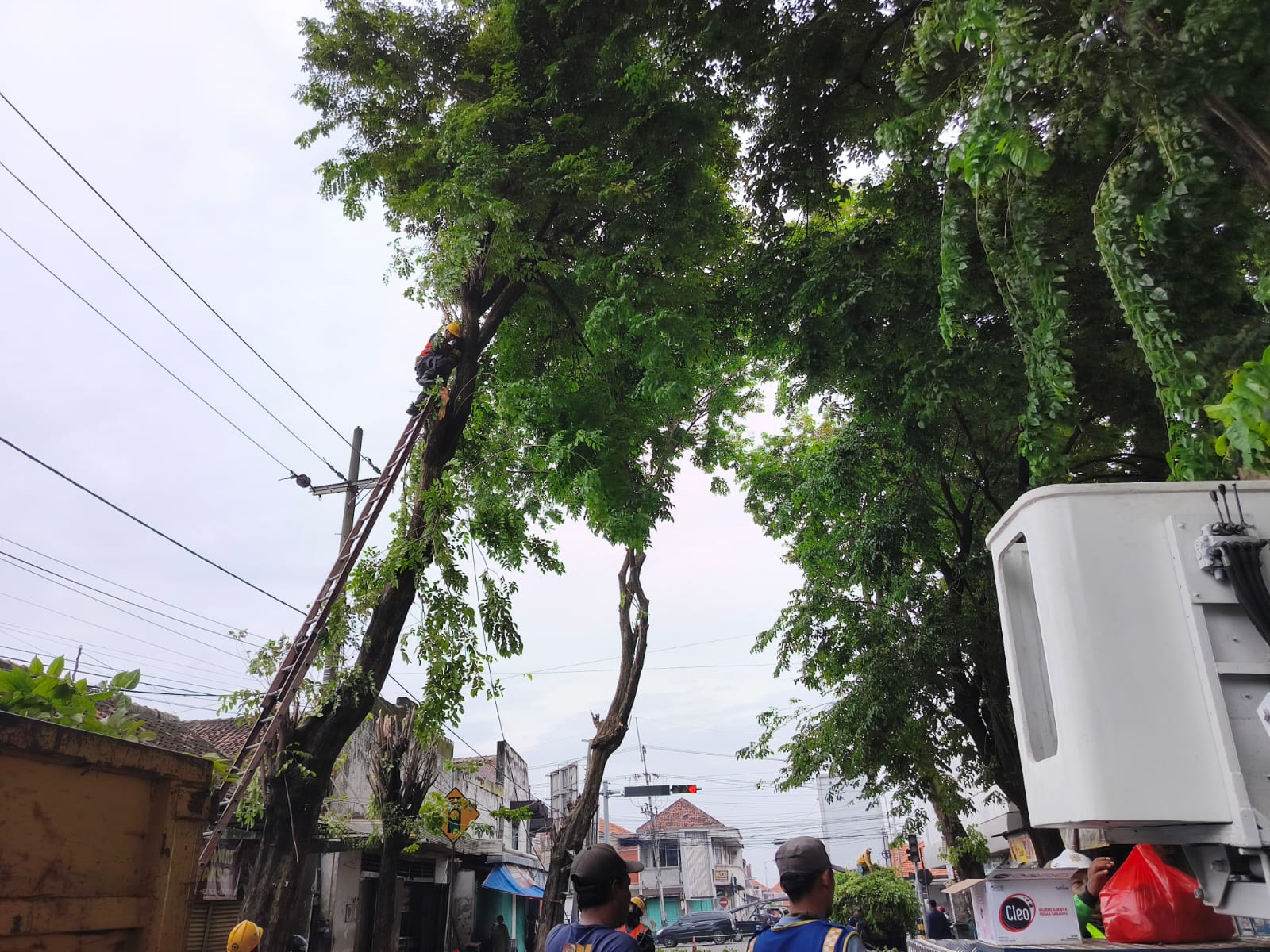 SERENTAK: DPRKP2 Kabupaten Mojokerto dan petugas gabungan melakukan pemangkasan pohon di ruas Jalan Niaga, Kecamatan Mojosari.  &nbsp;