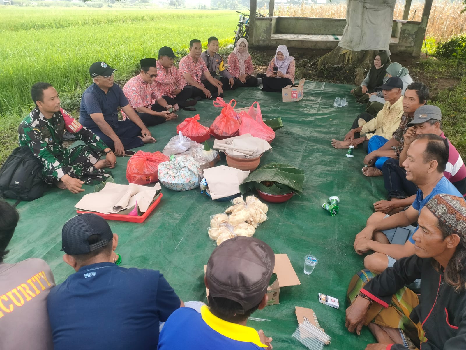 USAI DITANAM: Kelompok tani Desa Kedungmaling melaksanakan tradisi tutup tandur, budaya tahunan sebagai wujud syukur masa tanam sudah selesai, pekan lalu.  
