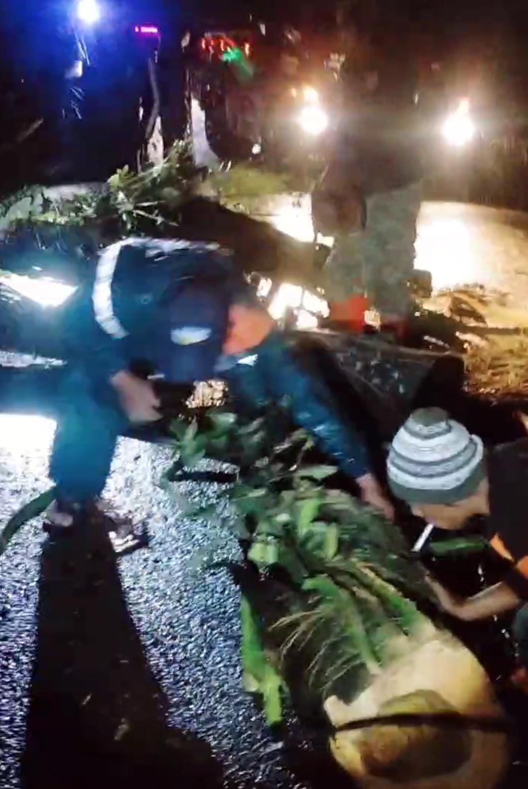 TERDAMPAK: Relawan dan warga melakukan evakuasi pohon tumbang di Jalan Raya Desa Jatijejer, Kecamatan Trawas, Kabupaten Mojokerto, Kamis (19/2) malam.