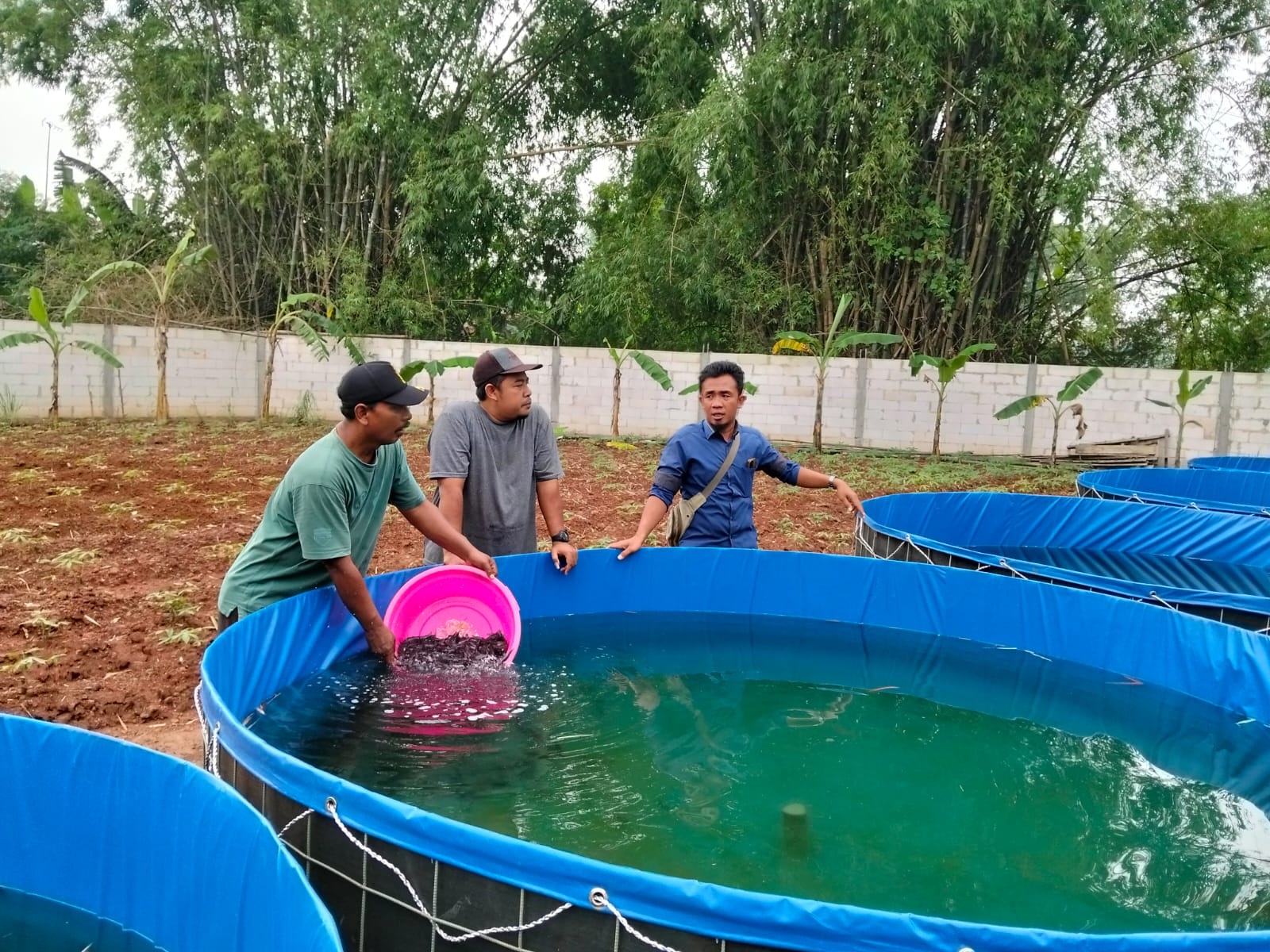 BERKELANJUTAN: Produksi benih ikan lele pada Unit Perbenihan&nbsp; Rakyat (UPR) Dispari Kabupaten Mojokerto kian ditingkatkan.  