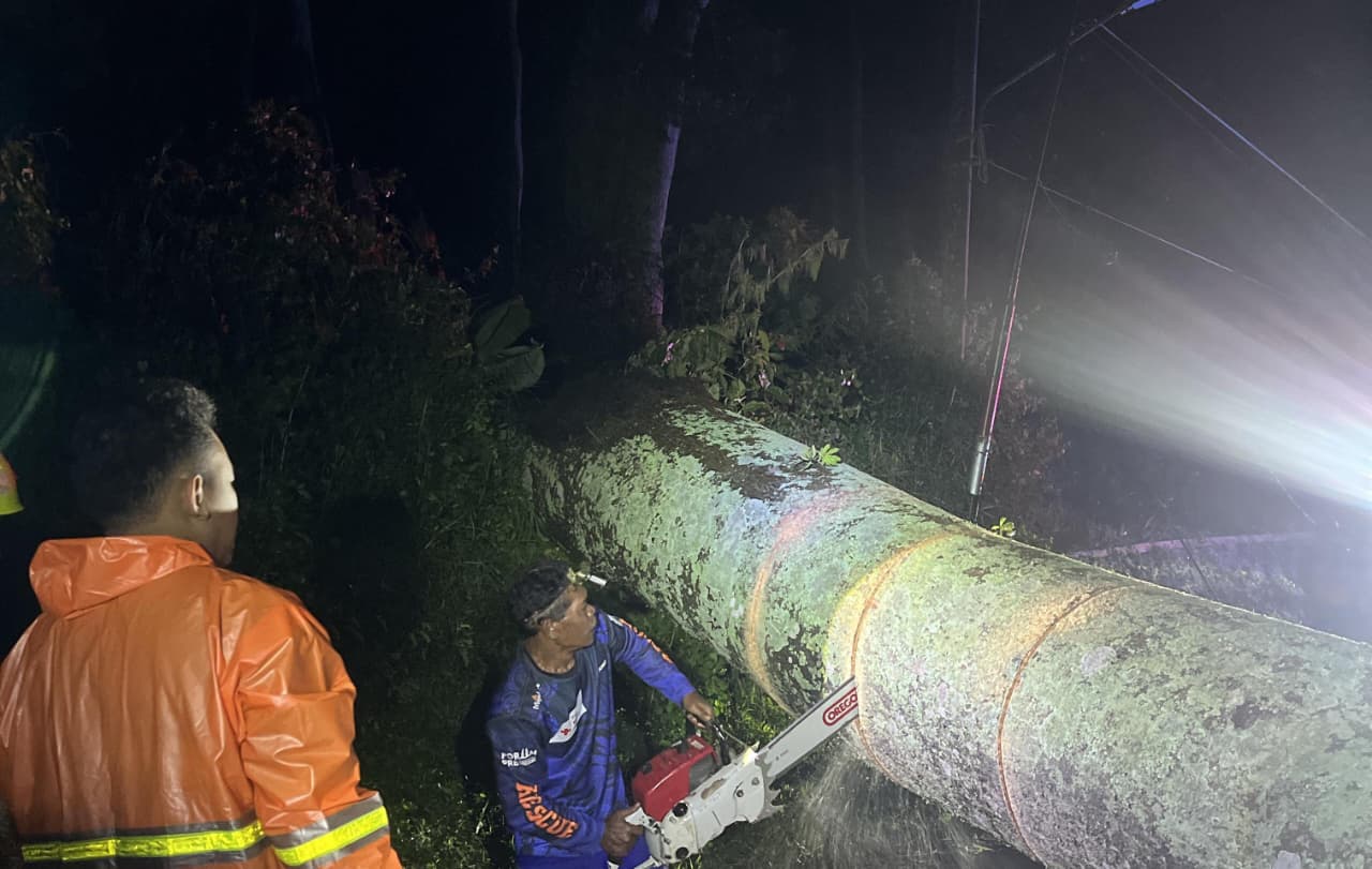 DIEVAKUASI: Personel BPBD Kabupaten Mojokerto bersama tim gabungan dan relawan melakukan evaluasi pohon tumbang yang sempat menutup akses Jalan Pacet-Cangar, Rabu (4/3) malam.  