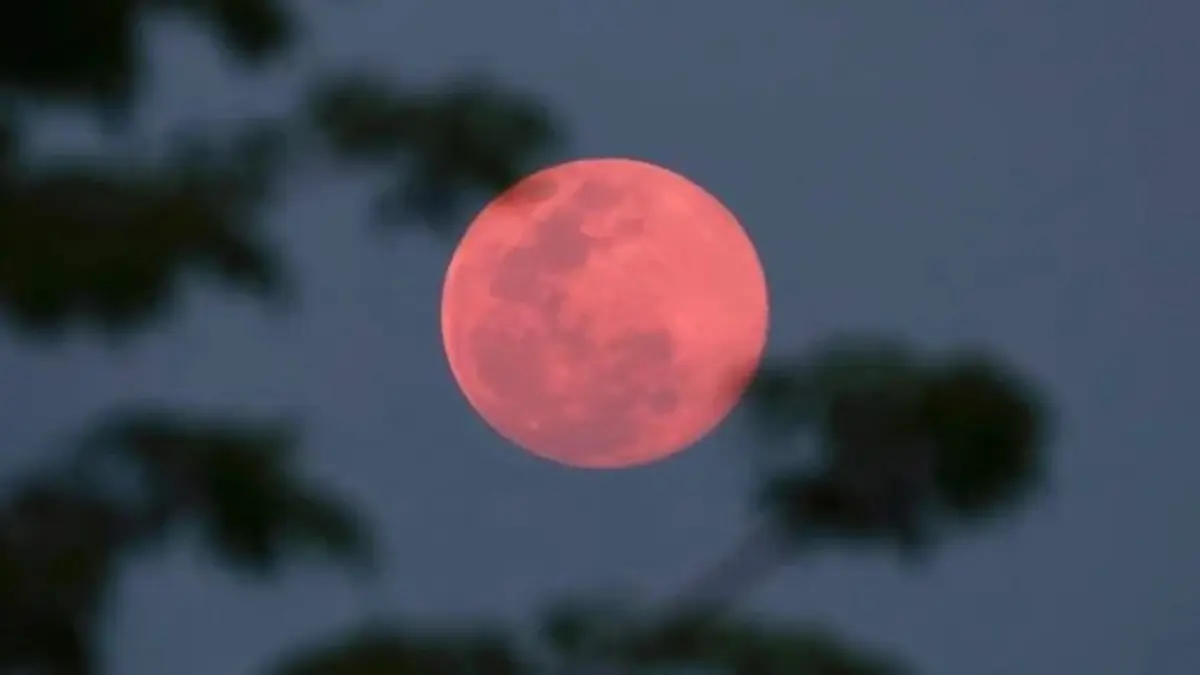 waktu terbaik untuk menyaksikan Pink Moon
