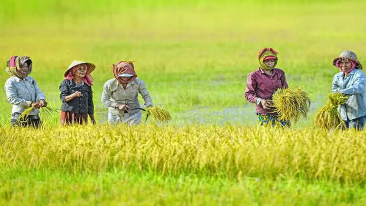 Modernisasi Pertanian di Era Digital: Antara Tantangan Besar dan Peluang Emas bagi Petani