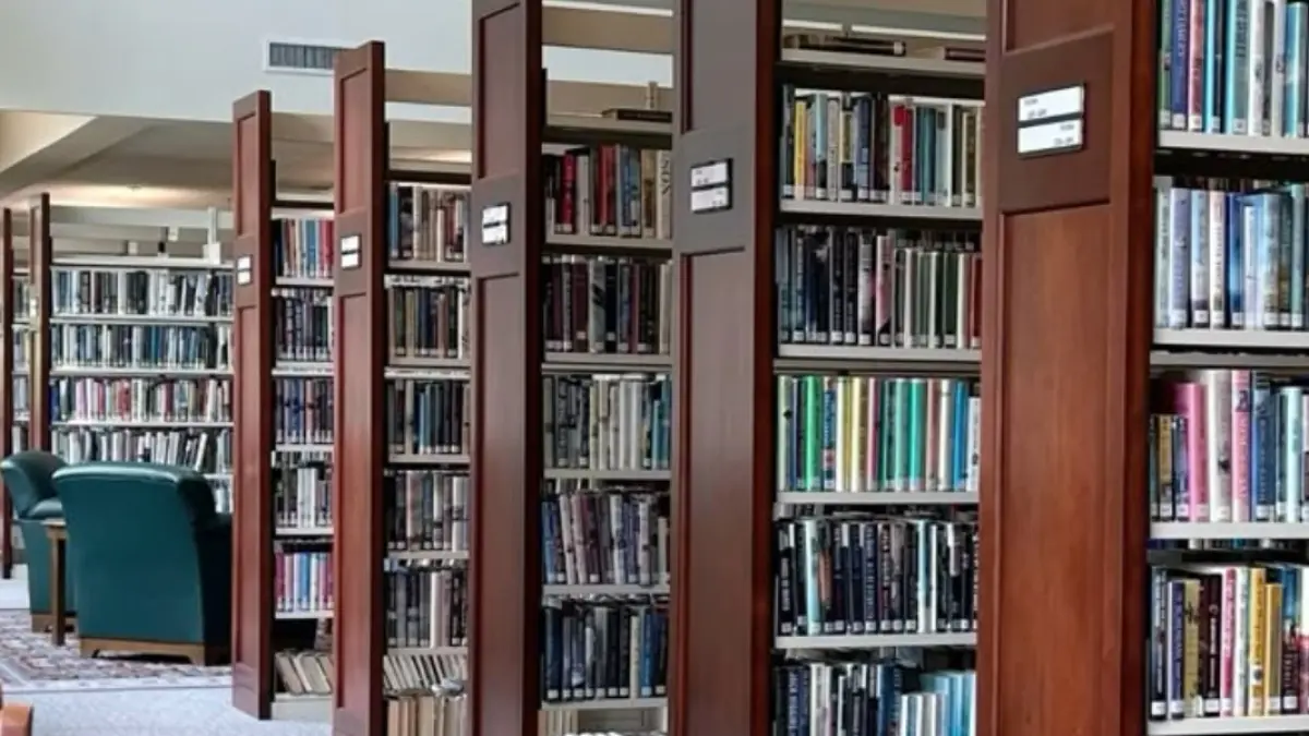 Ilustrasi perpustakaan (Sumber: Azria Malloy/Pinterest)