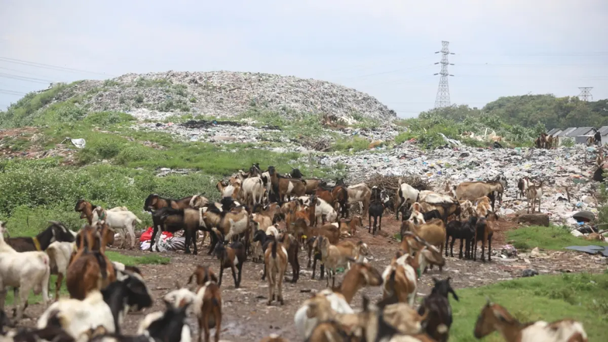 MENGGUNUNG: Tumpukan sampah di TPA Randegan, Kelurahan Kedundung, Kecamatan Magersari, Kota Mojokerto, dikeluhkan warga karena memicu polusi bau dan pencemaran air. (Sofan JPRM)
