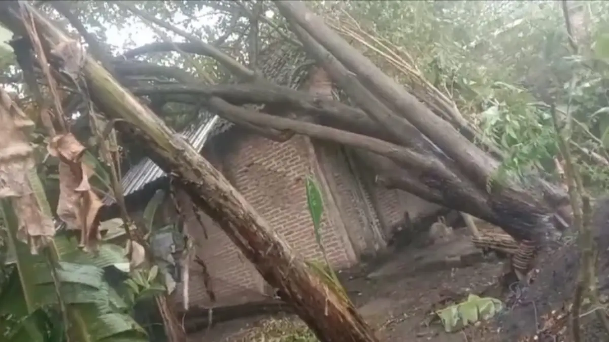 TERDAMPAK:&nbsp;Rumah warga di Dusun Tugurejo, Desa Mojojajar, Kecamatan Kemlagi, Kabupaten Mojokerto, yang tertimpa pohon tumbang akibat disapu angin kencang, kemarin (9/4) siang. (Rizal JPRM)