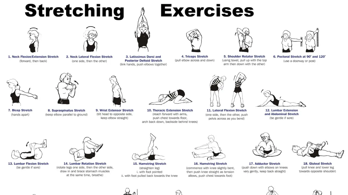Peregangan atau Stretching membantu meningkatkan fleksibilitas tubuh dan mengurangi risiko cedera sebelum beraktivitas.