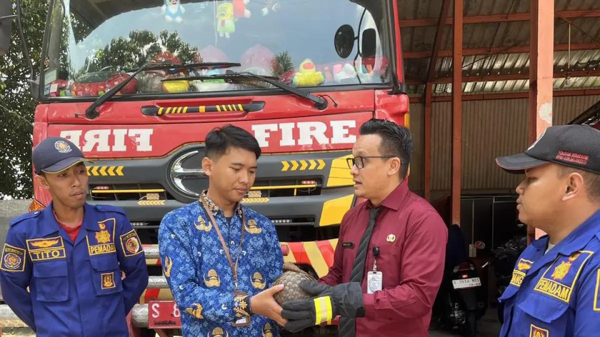 DILINDUNGI:&nbsp;Kalaksa BPBD Kabupaten Mojokerto Rinaldi Rizal Sabirin menyerahkan seekor trenggiling ke petugas BBKSDA Jatim, kemarin (16/4). (Rizal JPRM)