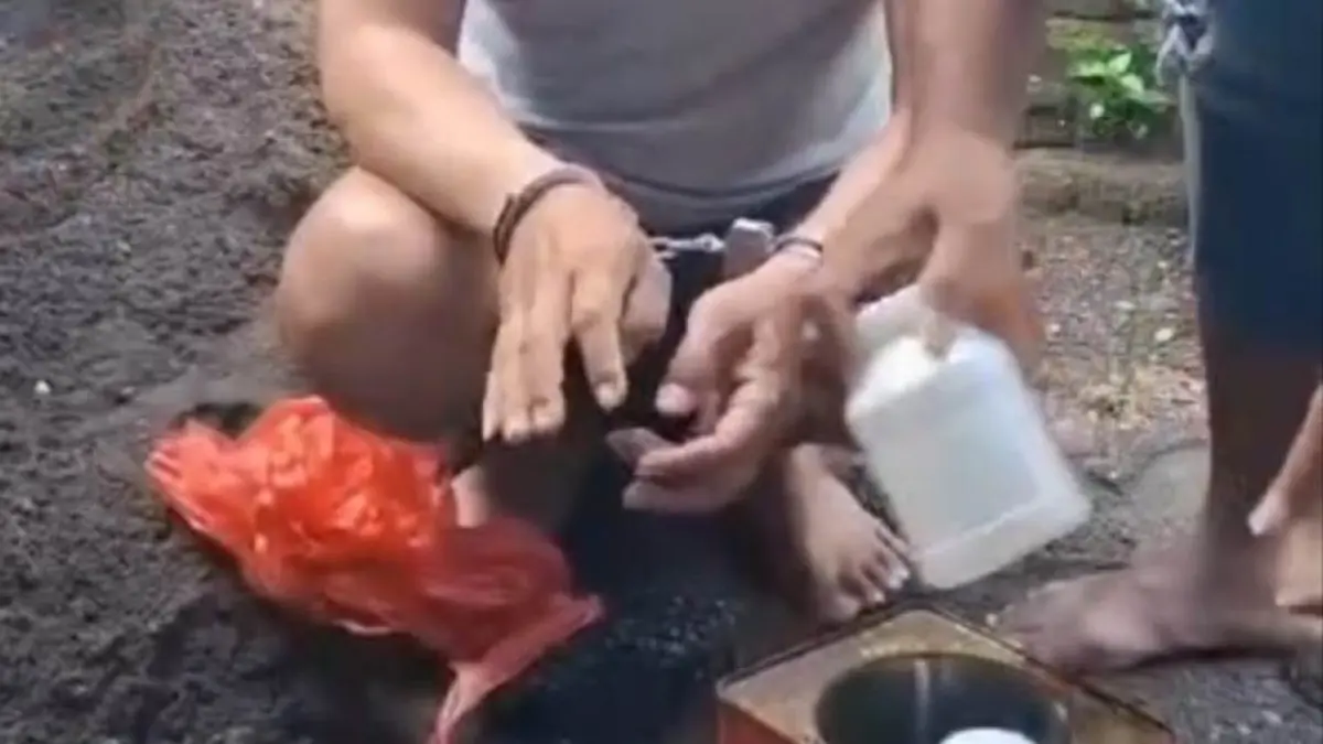 DIUNGKAP: Pelaku menunjukkan lokasi penyimpanan 4.000 butir pil dobel L yang disimpan dalam kaleng biskuit dan ditimbun pasir di Desa Kuripansari, Kecamatan Pacet, Kabupaten Mojokerto. (Rizal JPRM)