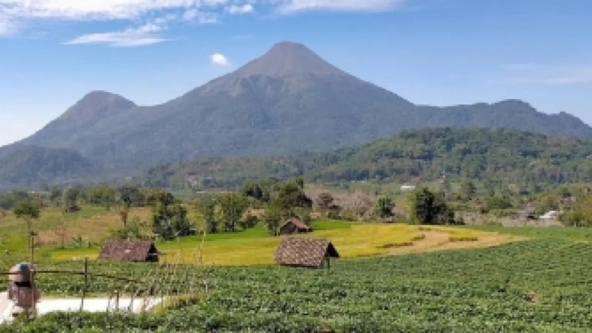 Gunung Penanggungan adalah salah satu ikon legenda di Mojokerto yang sarat dengan kisah mistis sekaligus sejarah.