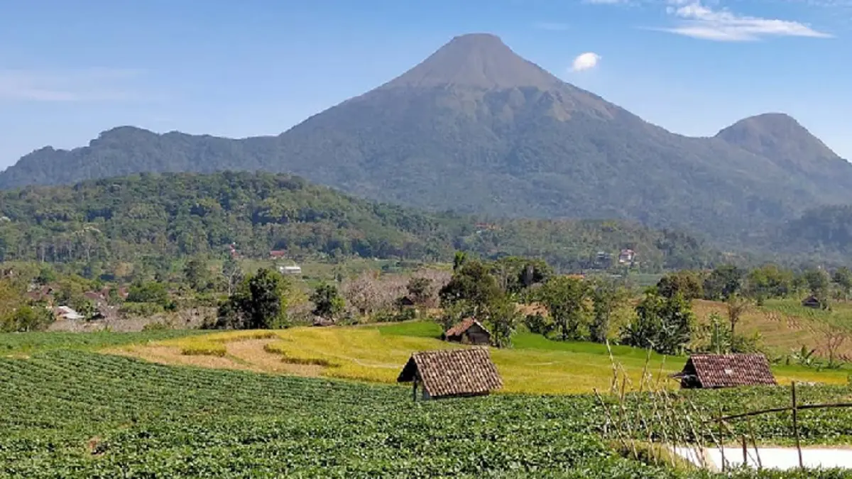  masyarakat sekitar gunung juga mewarisi berbagai mitos lokal yang masih diceritakan hingga sekarang. 