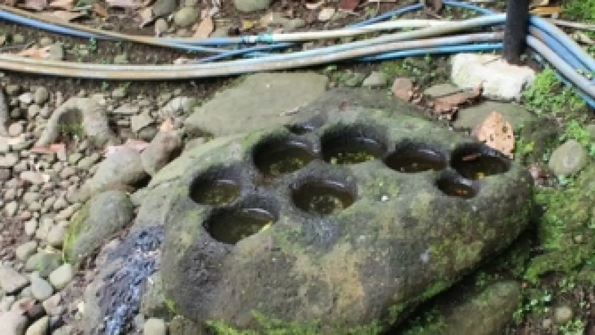 "Batu Dakon, bukan sekadar permainan, tapi warisan leluhur yang penuh makna."

