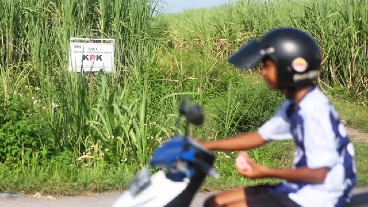 DILELANG: Lahan tebu di Desa Terusan, Kecamatan Gedeg sitaan kasus korupsi Bupati Mojokerto Mustofa Kamal Pasa diplang KPK.