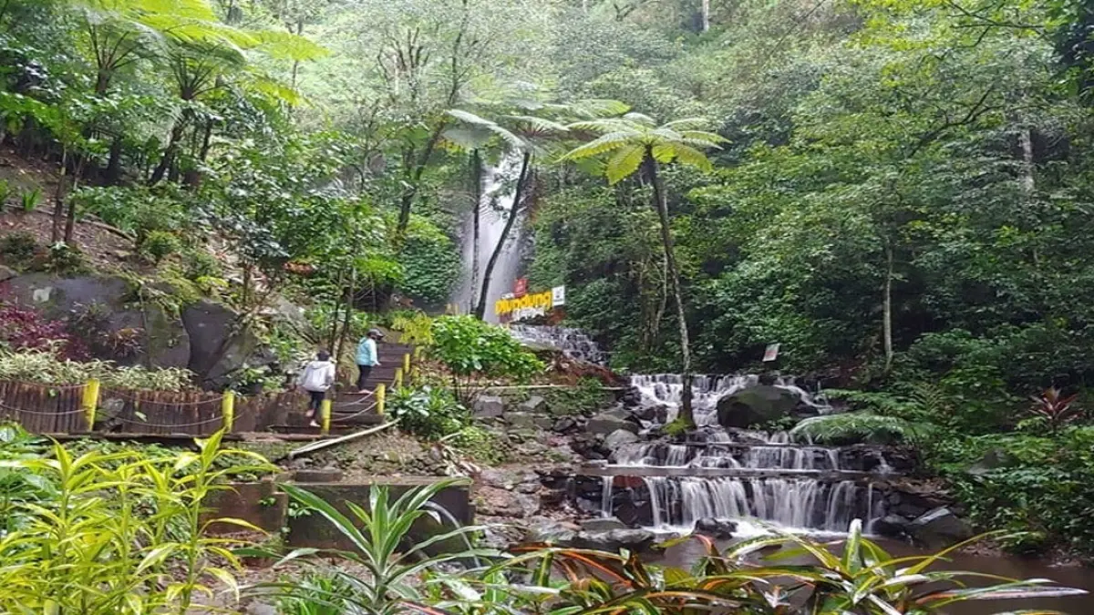 Pesona Tersembunyi di Air Terjun Dlundung
