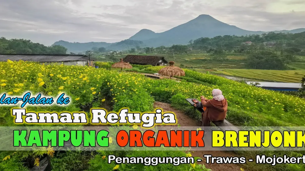 Kampung Organik Brenjonk Trawas