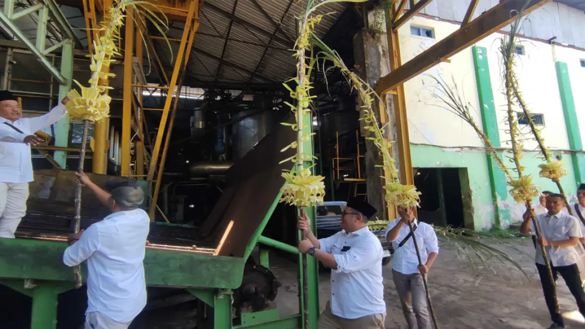Buka giling merupakan tanda resmi dimulainya proses pengolahan tebu menjadi gula.