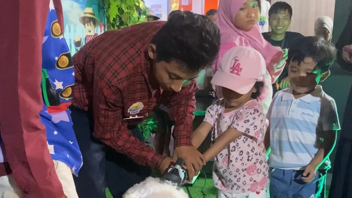 DIGEMARI: Pengunjung sedang belajar mencukur bulu domba.