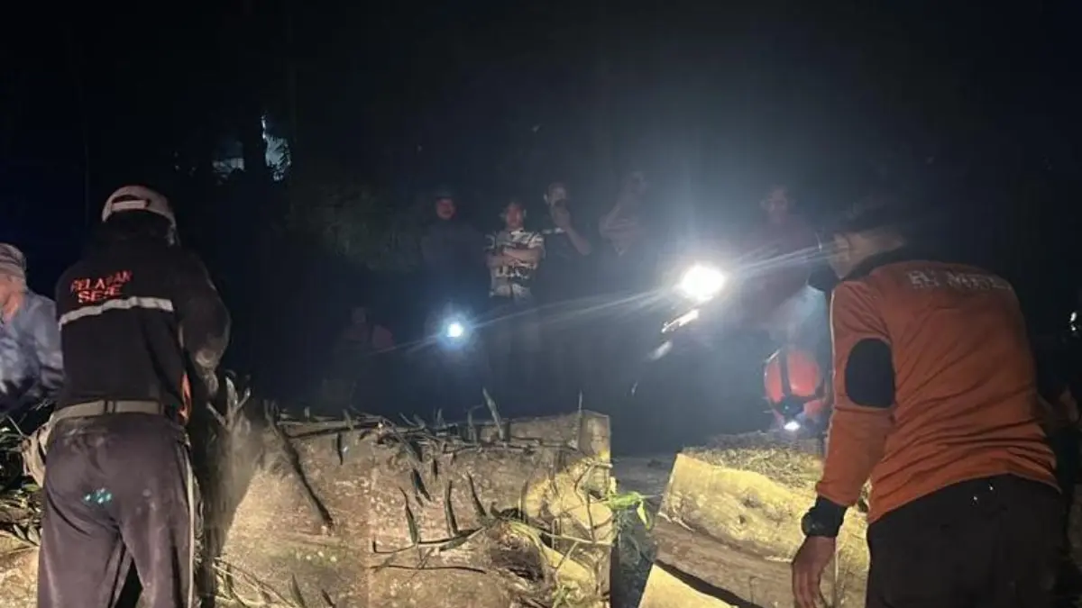 TERDAMPAK: Personel BPBD Kabupaten Mojokerto bersama tim gabungan mengevakuasi pohon tumbang yang sempat menutup jalur wisata menuju Petirtaan Jolotundo, Desa Seloliman, Kecamatan Trawas, kemarin (17/5) dini hari. Ok-ris