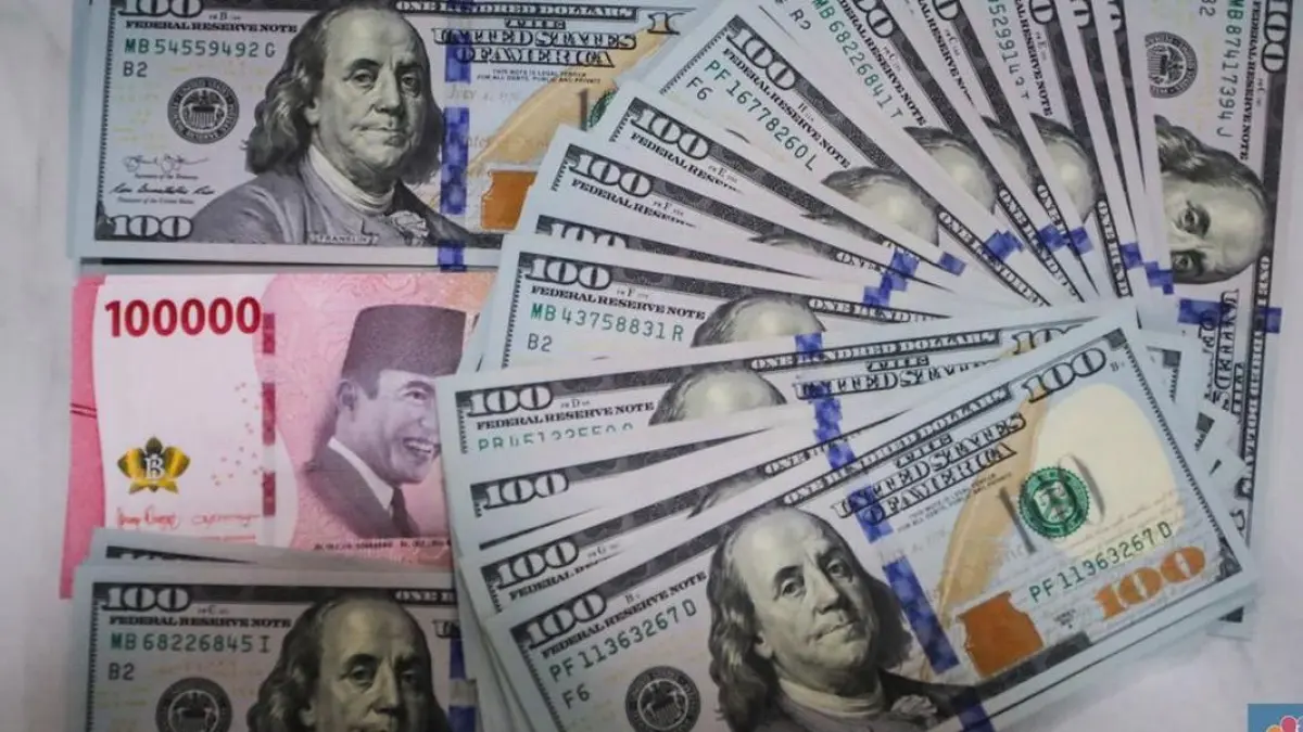 dolar 