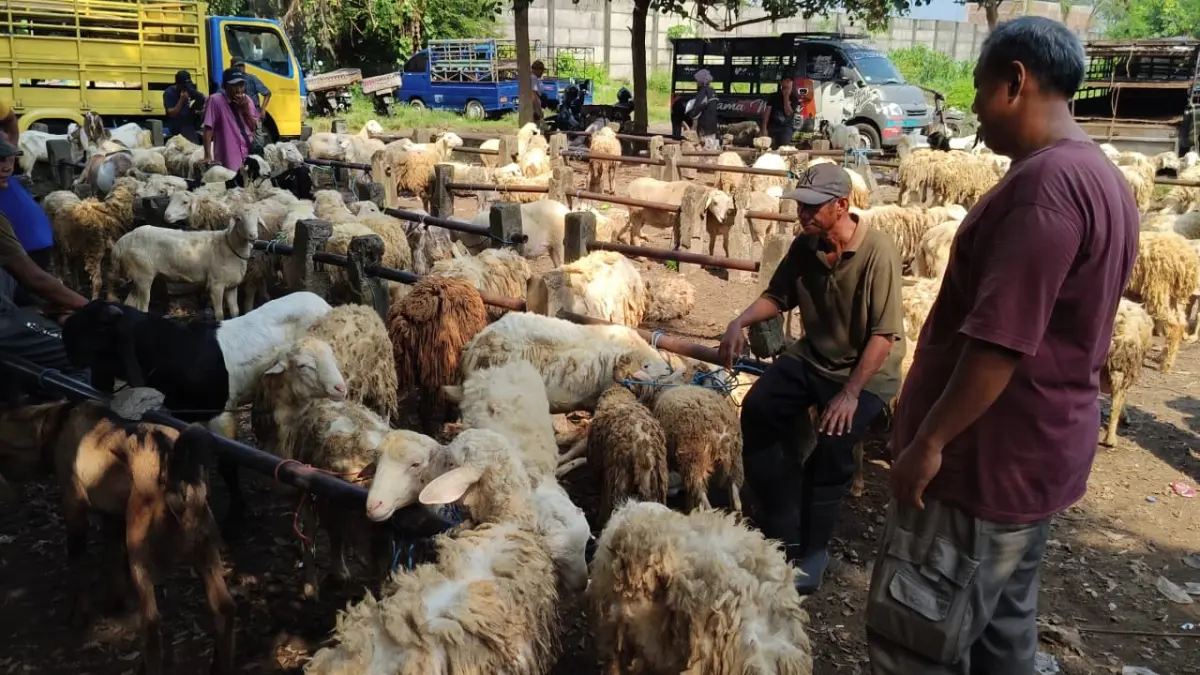 RAMAI: Suasana perdagangan ternak di Pasar Hewan Ngrame, Kecamatan Pungging, Kabupaten Mojokerto jelang Hari Raya Idul Adha. (Rizal JPRM)