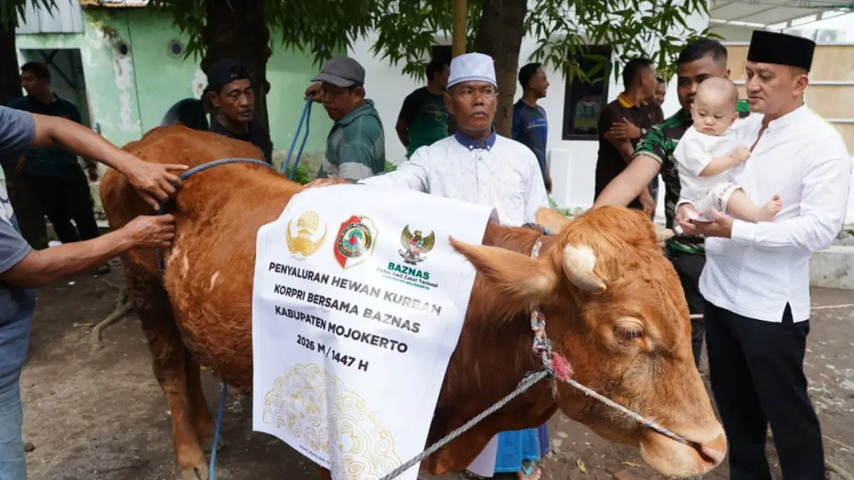 Komandan Korem (Danrem) 082/CPYJ Mojokerto Kolonel Inf Batara S.Hub.Int., M.Hub.Int., menyerahkan secara simbolis hewan kurban kepada panitia pemotongan hewan kurban yang bertempat di Asrama Makorem 082/CPYJ, Rabu (27/05). (dok Penerangan Korem 082/CPYJ Mojokerto for JPRM)