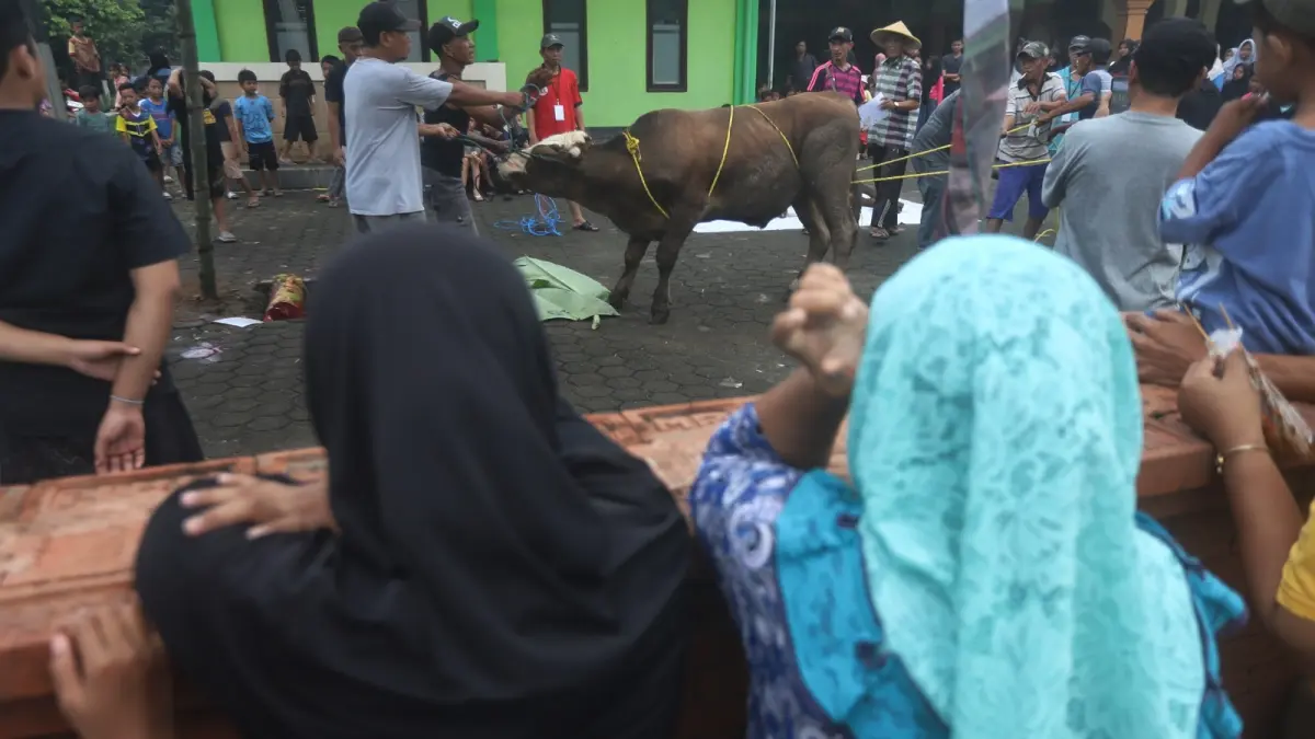 BERKURBAN: Warga Desa Tawangsari, Kecamatan Trowulan, Kabupaten Mojokerto menyaksikan prosesi pemotongan hewan kurban, Rabu (27/5). (Sofan JPRM)