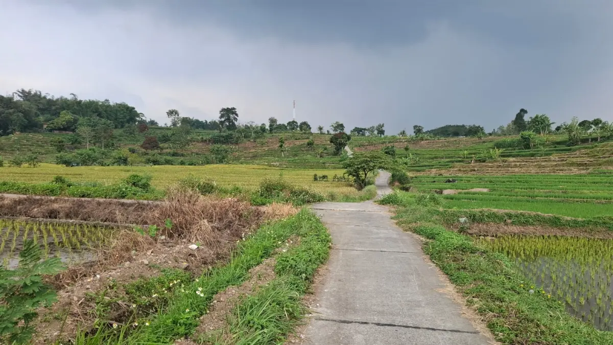 MULUS: Jalan usaha tani di Desa Warugunung, Kecamatan Pacet, Kabupaten Mojokerto yang telah tersambung antardusun. (dok Pemdes Warugunung for JPRM)
