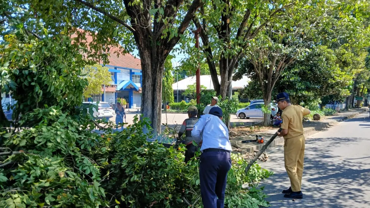 PEMELIHARAAN RUTIN: Petugas melakukan perantingan pada sejumlah pohon peneduh di area Terminal Kertajaya Mojokerto.