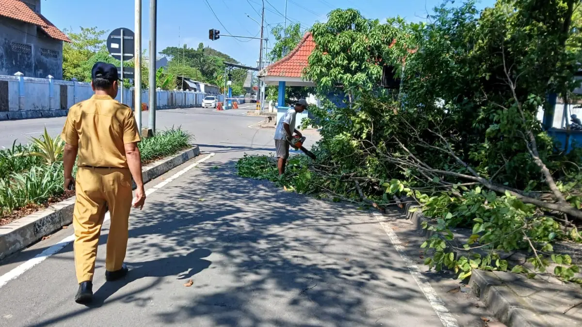 PEMELIHARAAN RUTIN: Petugas melakukan perantingan pada sejumlah pohon peneduh di area Terminal Kertajaya Mojokerto. (Martda JPRM)
