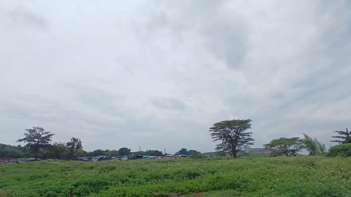  Lahan TPA Randegan, Kelurahan Kedundung, Kecamatan Magersari, Kota Mojokerto di area sisi barat yang berbatasan dengan Perumahan The Suam Residence.
