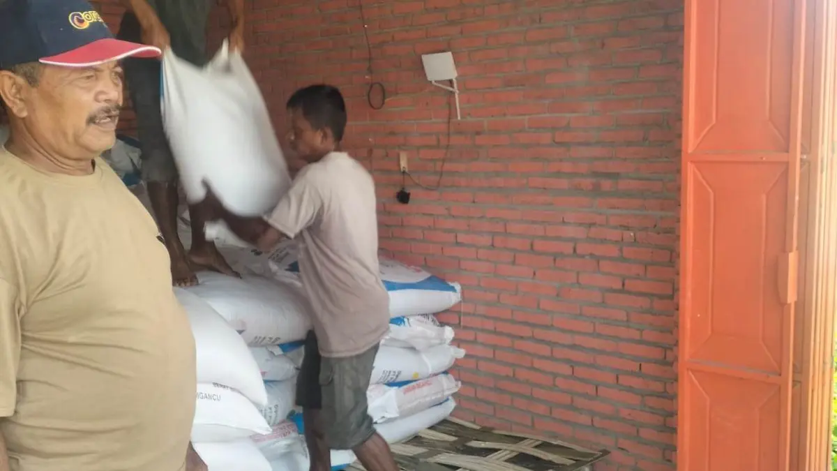 PERMUDAH KEBUTUHAN: Salah satu petani sedang membeli pupuk untuk persediaan masa tanam di Desa Jrambe, Kecamatan Dlanggu. (Dodik JPRM)