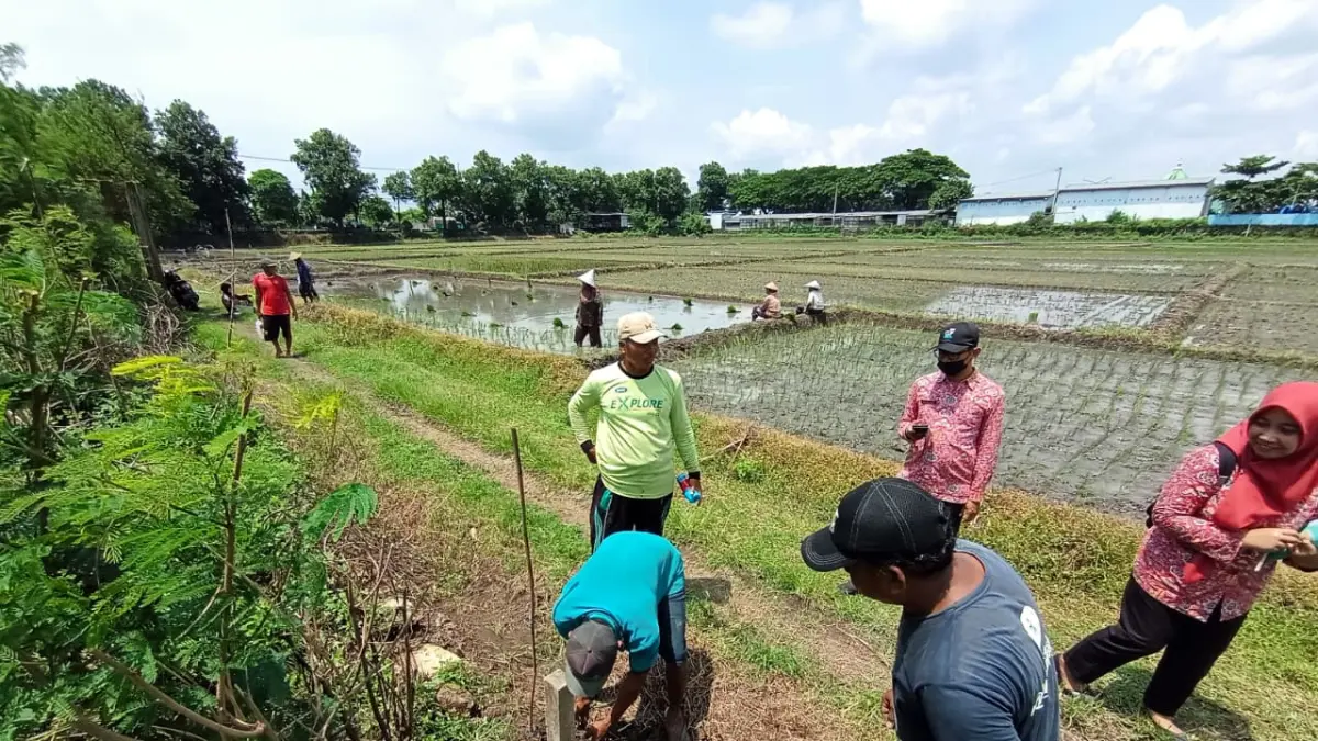 PETA BIDANG: DPRKP2 Kabupaten Mojokerto bersama tim melakukan pengukuran peta bidang di kawasan calon ibu kota Desa Jotangan, Kecamatan Mojosari, beberapa waktu lalu. (Rizal JPRM)