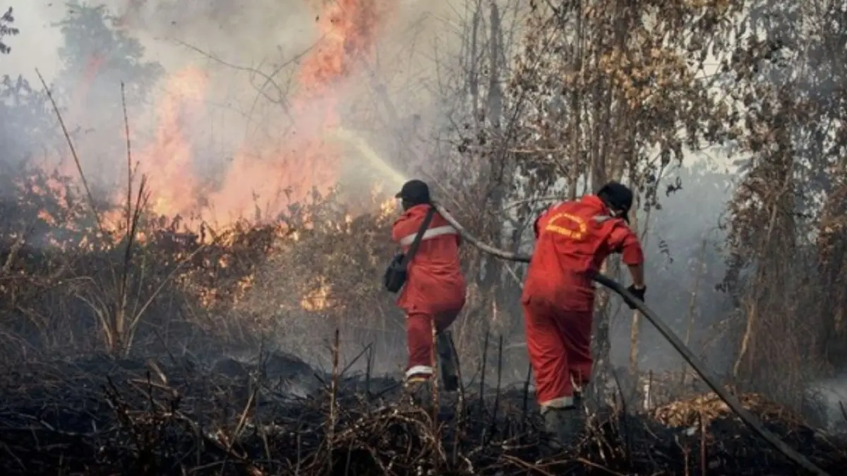 masyarakat juga memiliki peran penting dalam mencegah kebakaran hutan dan lahan.