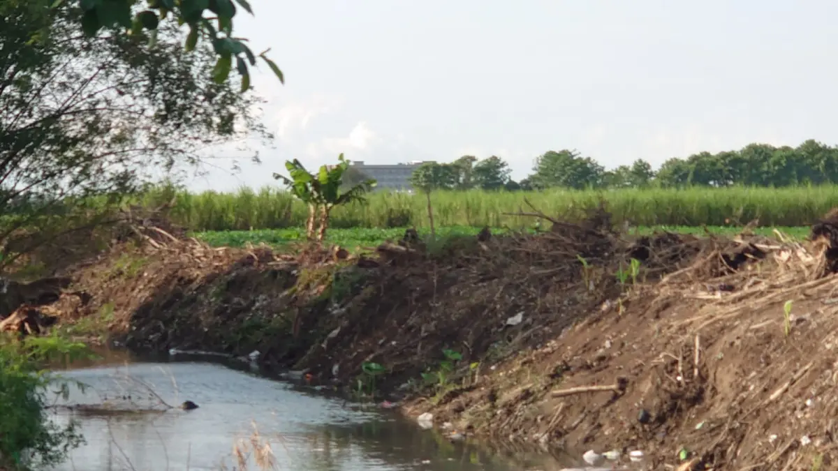 MITIGASI: Tanggul Sungai Kintelan di Desa Balongmojo, Kecamatan Puri, Kabupaten Mojokerto setelah dilakukan normalisasi untuk mencegah terjadinya banjir luapan. (Rizal JPRM)