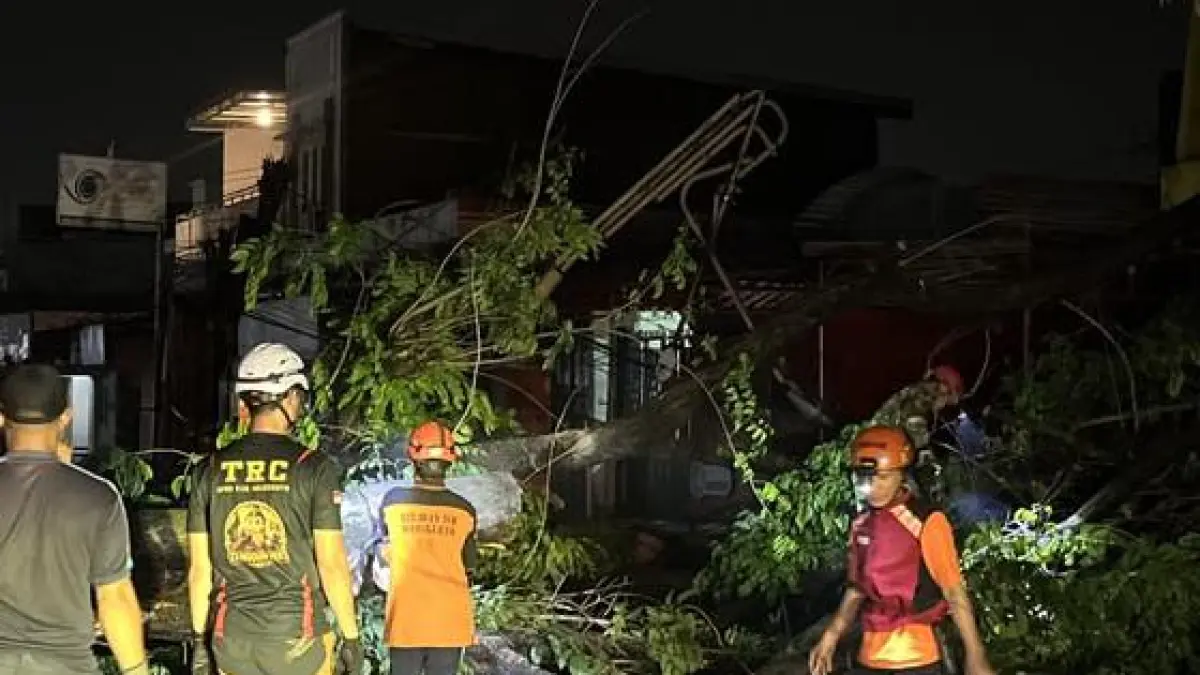 TUTUP AKSES JALAN: Petugas gabungan dan relawan mengevakuasi pohon tumbang di Desa Tunggalpager, Kecamatan Pungging, Selasa (23/6) dini hari. (Rizal JPRM)