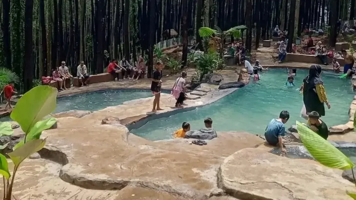  Klurak Eco Park Sajikan Sensasi Berendam Air Alami di tengah hutan pinus