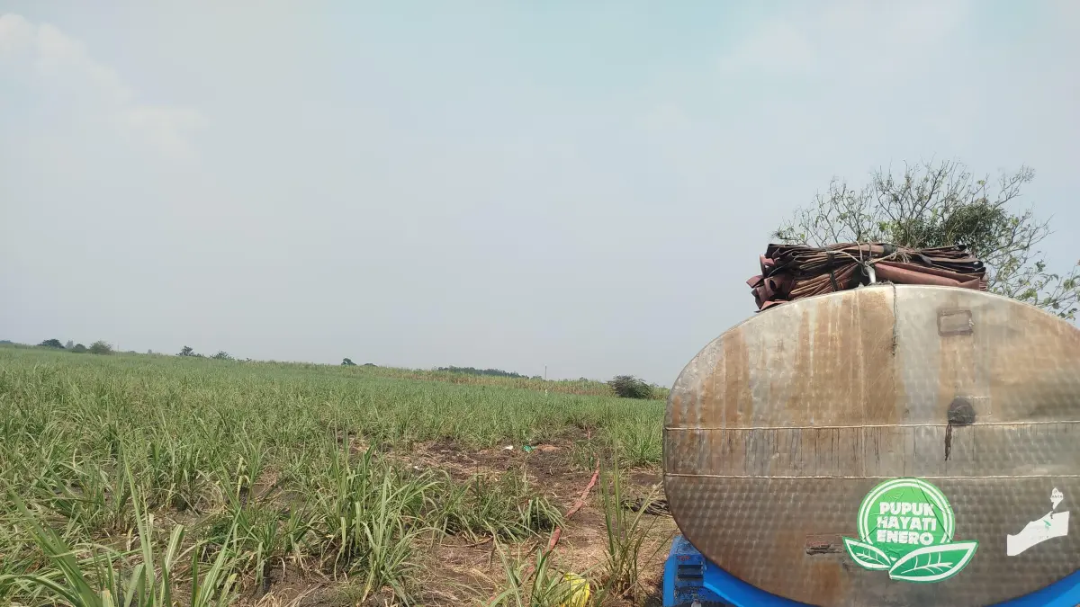 PUPUK HAYATI: Pupuk Hayati Enero yang menjadi produk PT Enero diproses dan dijalankan sesuai prinsip green energy hingga ramah lingkungan, kemarin (9/7).