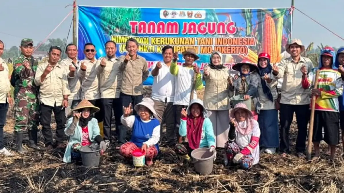  Himpunan Kerukunan Tani Indonesia (HKTI) Kabupaten Mojokerto bersama para petani melaksanakan kegiatan penanaman jagung perdana di Desa Singowangi, Kecamatan Kutorejo, Kabupaten Mojokerto, Sabtu (11/7). 