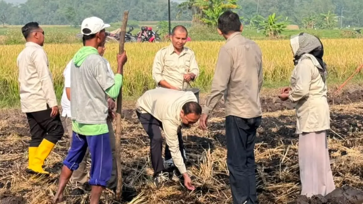  Himpunan Kerukunan Tani Indonesia (HKTI) Kabupaten Mojokerto bersama para petani melaksanakan kegiatan penanaman jagung perdana di Desa Singowangi, Kecamatan Kutorejo, Kabupaten Mojokerto, Sabtu (11/7). 